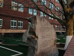 -北京市海淀外国语实验学校