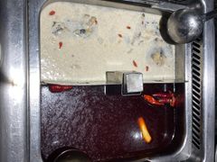 双拼锅底-海底捞火锅(探十里店)