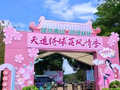 -天适樱花悠乐园