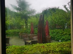 -荷风细雨·中国茶宴(碧云店)