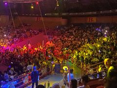 -俄罗斯国家大马戏团