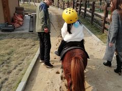 -黄龙溪欢乐田园