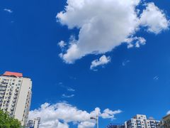 -双井轩(双井店)