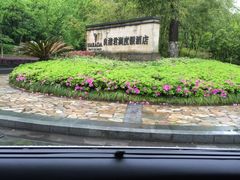 -良渚君澜度假酒店·中餐厅