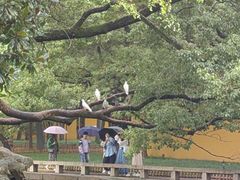 -西园戒幢律寺