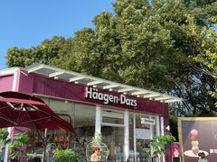 -哈根达斯(滨江店)