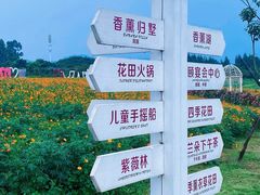 -紫颐香薰山谷景区