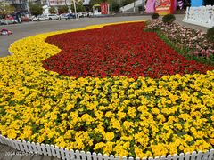 -花溪公园