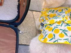 -FAELING PETS美天灵宠物(富力广场店)