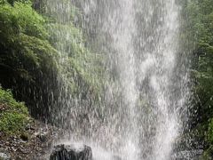 -龙苍沟森林公园
