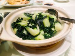 上汤浸白菜苗-东海海鲜酒家(中信广场店)