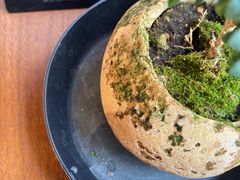 -小西家作(富力爱丁堡店)