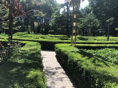 -黄村公园