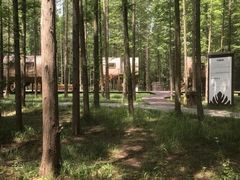 -黄海国家森林公园