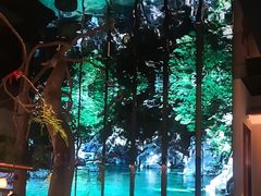 -桂满陇·海市蜃楼·黑金(国金店)