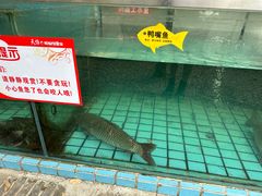 -天怡·鱼工厂(梅溪湖店)