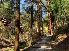 -东天目山风景区