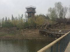 -东郊湿地公园
