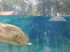 -广州海洋馆