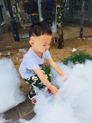 -上美四季动物农场