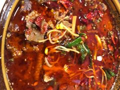 -乡土特色.冷锅鱼.牦牛肉汤锅