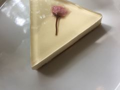 -MAISON门前杂货店