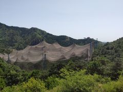 -燕塞湖鸟语林景区