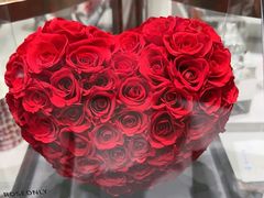 -ROSEONLY诺誓(磐基中心店)