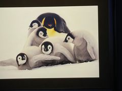 -罗红摄影艺术馆