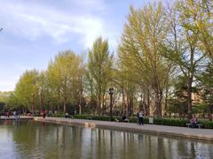 -玲珑塔公园