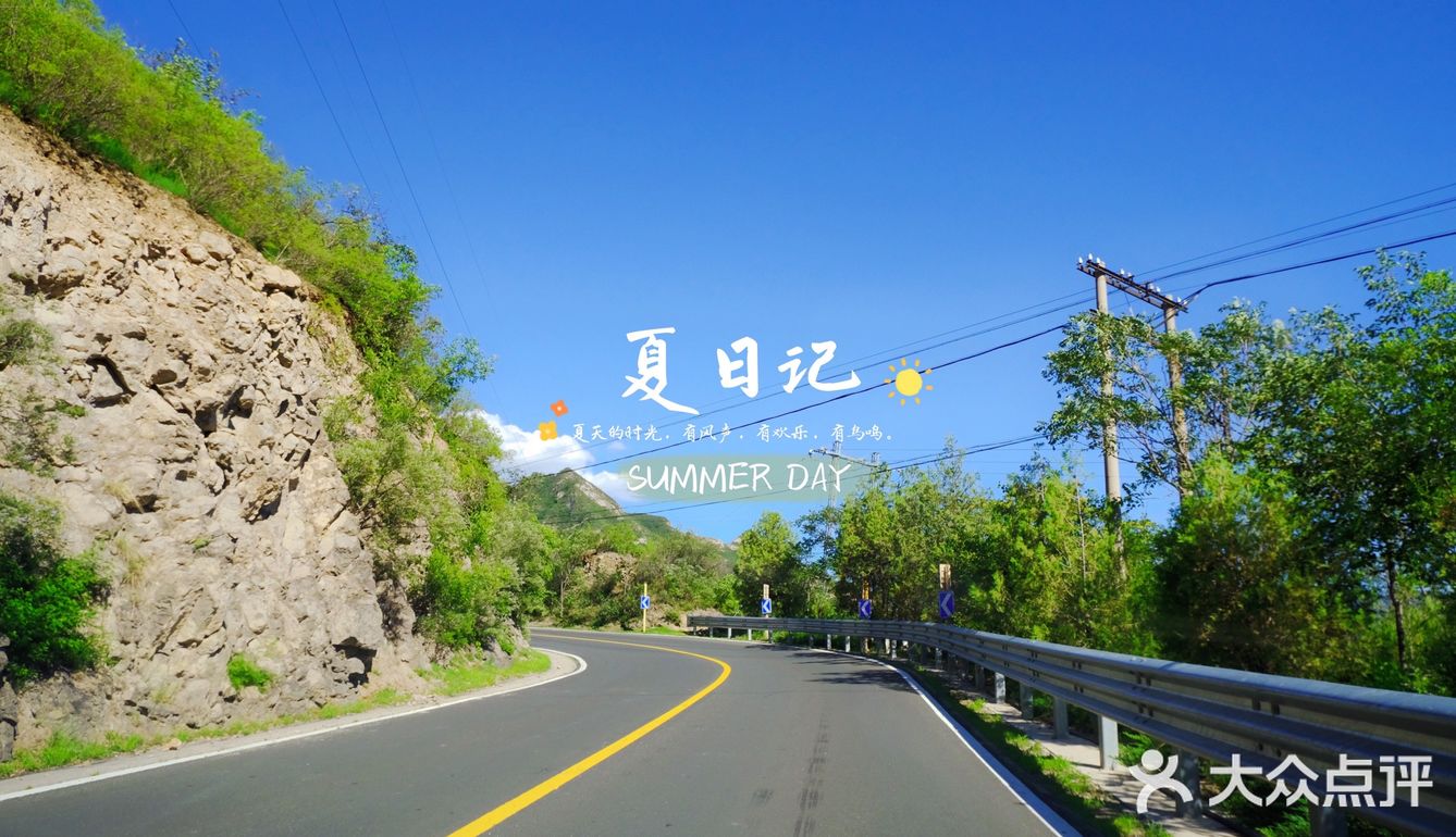 🍃夏日记🍃你爱上温热的空气了吗❓