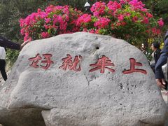 -普陀山风景区-佛顶山