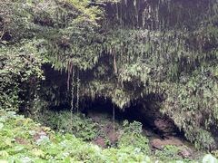 -海口火山口国家地质公园