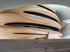 -哈尔滨大剧院