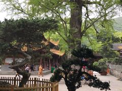 -法雨寺餐厅