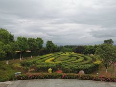 -铁山坪森林公园