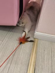-Beauty Nails 美甲美睫皮肤管理