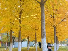 -国家植物园南园