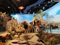 -陕西自然博物馆