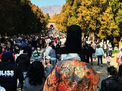 -灵谷景区