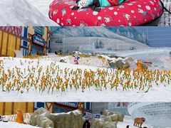 -广州热雪奇迹