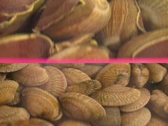 -三亚火车头万人海鲜广场