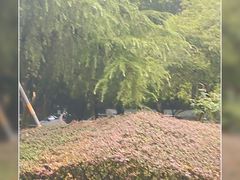 -浙江大学(玉泉校区)