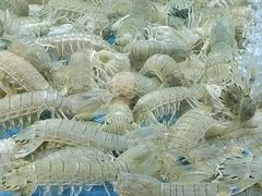 -天宝海鲜酒楼(开发区珠江道店)
