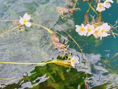 -丽江泸沽湖景区