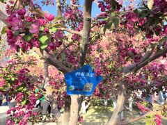 -元大都城垣遗址公园