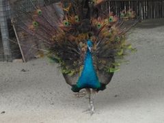 -韶关经律论国际酒店温泉