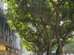 -老牌依强牛肉店(达道总店)