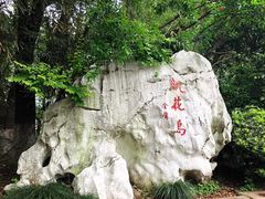 -金鸡湖桃花岛