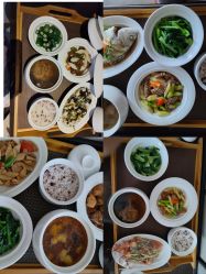 -臻康乃馨月子中心(集美店)